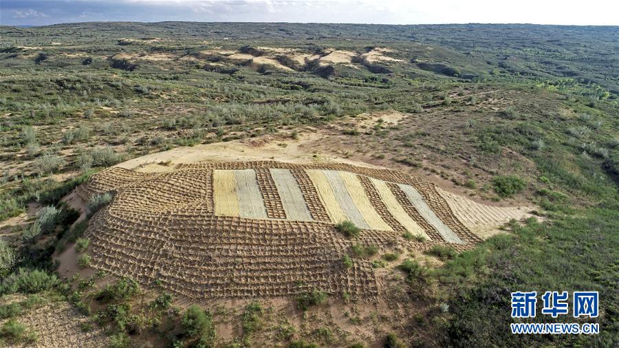 （壯麗70年·奮斗新時(shí)代——共和國發(fā)展成就巡禮·圖文互動(dòng)）（6）生態(tài)美、百姓富——品讀嶄新“寧夏畫卷”