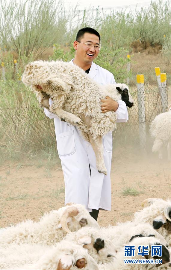 （壯麗70年·奮斗新時(shí)代——共和國發(fā)展成就巡禮·圖文互動(dòng)）（3）生態(tài)美、百姓富——品讀嶄新“寧夏畫卷”