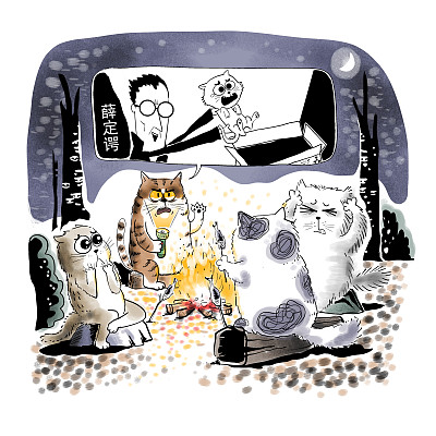 ▲物理學(xué)家薛定諤曾用一只貓比喻量子疊加。圖片來源：視覺中國