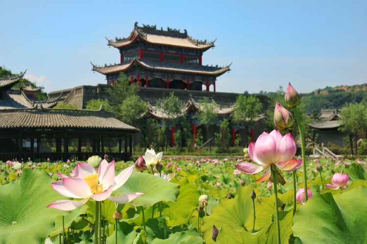 【云游渭南】心中若有桃花源，此處便是水云間！待疫情散盡，一起來渭南桃花源賞美景、觀民俗、享美食_fororder_2