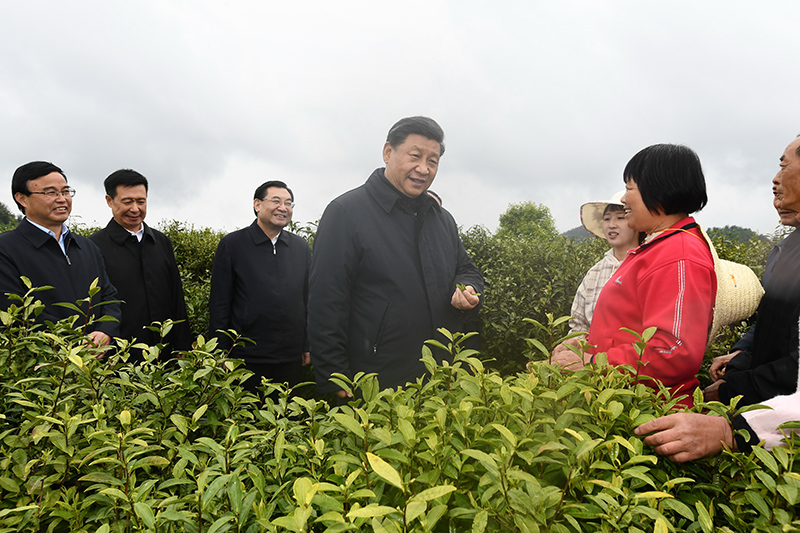 2020年4月21日，習(xí)近平總書記在陜西省安康市平利縣老縣鎮(zhèn)蔣家坪村女媧鳳凰茶業(yè)現(xiàn)代示范園區(qū)，同茶農(nóng)們親切交談。