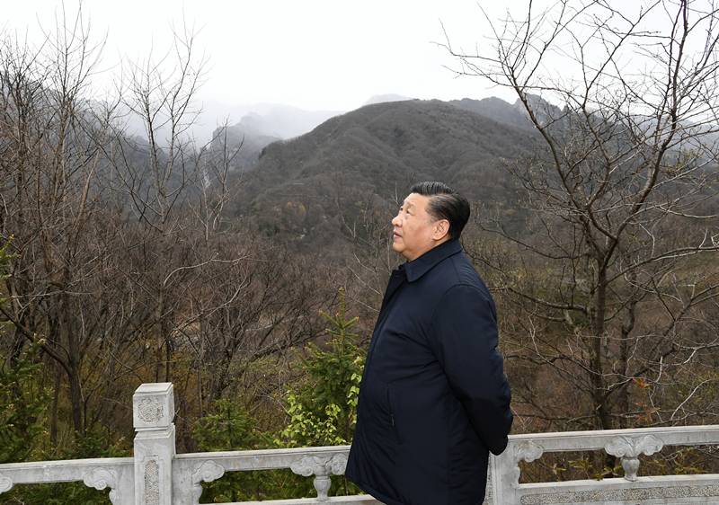2020年4月20日，習(xí)近平在陜西秦嶺牛背梁國家級自然保護區(qū)，了解秦嶺生態(tài)保護工作情況。